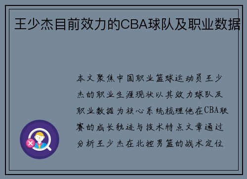 王少杰目前效力的CBA球队及职业数据