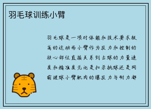 羽毛球训练小臂